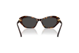 Vista posteriore Swarovski SK6048 (100287)