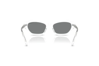 Vista posteriore Swarovski SK6048 (102787)