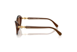 Vista laterale Swarovski SK6048 (108473)