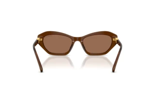 Vista posteriore Swarovski SK6048 (108473)