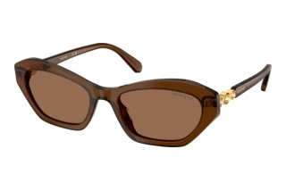 Vista frontale Swarovski SK6048 (108473)