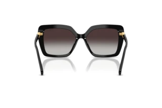 Vista posteriore Swarovski SK6049 (10018G)