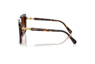 Vista laterale Swarovski SK6049 (100274)