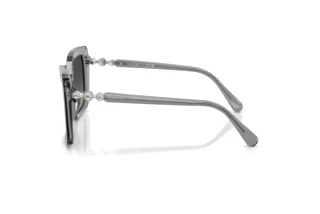 Vista laterale Swarovski SK6049 (106211)