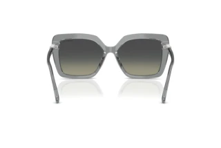 Vista posteriore Swarovski SK6049 (106211)