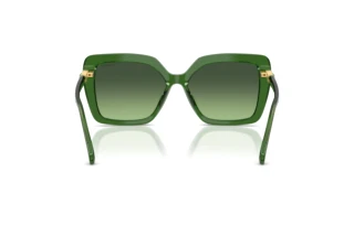 Vista posteriore Swarovski SK6049 (10812A)