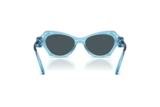 Vista posteriore Swarovski SK6050 (107887)