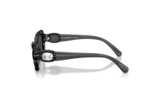 Vista laterale Swarovski SK6050 (108787)