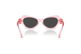 Vista posteriore Swarovski SK6050 (108887)