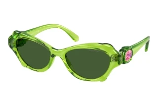 Vista frontale Swarovski SK6050 (108971)