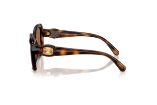 Vista laterale Swarovski SK6051U (100273)