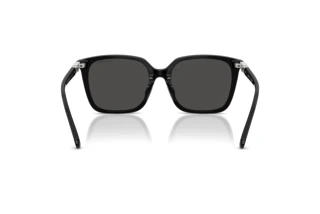 Vista posteriore Swarovski SK6053D (103887)