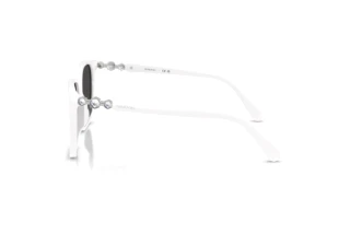 Vista laterale Swarovski SK6053D (105087)