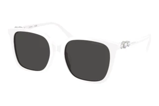 Vista frontale Swarovski SK6053D (105087)