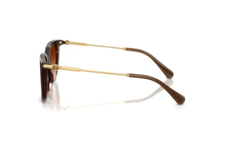 Vista laterale Swarovski SK6054D (108474)