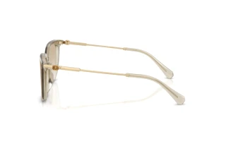 Vista laterale Swarovski SK6054D (300311)