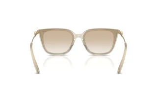 Vista posteriore Swarovski SK6054D (300311)