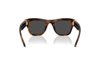 Vista posteriore Swarovski SK6056U (100287)