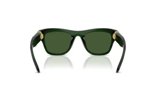 Vista posteriore Swarovski SK6056U (108171)