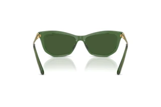 Vista posteriore Swarovski SK6057 (108571)