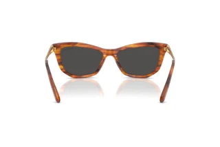 Vista posteriore Swarovski SK6057 (109187)