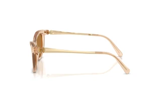 Vista laterale Swarovski SK6057 (109273)