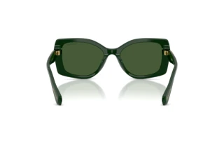 Vista posteriore Swarovski SK6058U (102671)