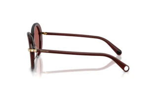 Vista laterale Swarovski SK6059 (109869)