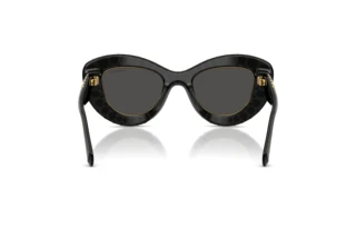 Vista posteriore Swarovski SK6060 (110487)