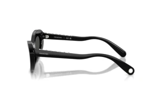 Vista laterale Swarovski SK6061U (100187)