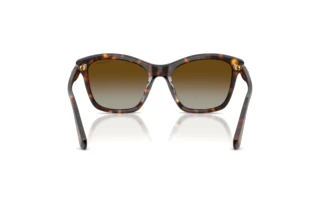 Vista posteriore Swarovski SK6063 (1002T5)