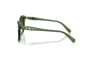 Vista laterale Swarovski SK6063 (10852A)