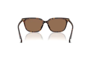 Vista posteriore Swarovski SK6064D (100273)