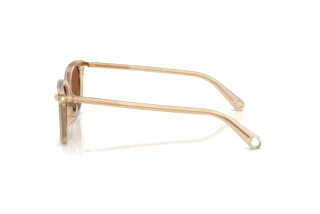 Vista laterale Swarovski SK6064D (1034OK)