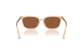 Vista posteriore Swarovski SK6064D (1034OK)