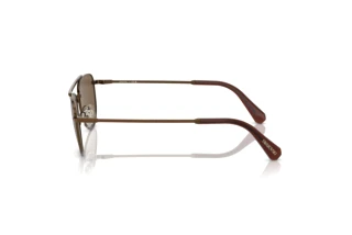 Vista laterale Swarovski SK7007 (401673)