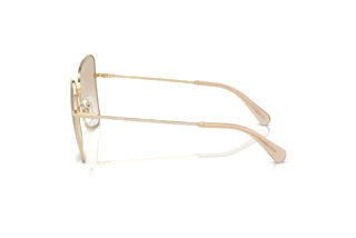 Vista laterale Swarovski SK7008 (401311)