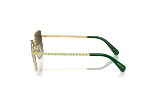 Vista laterale Swarovski SK7015 (4004E8)