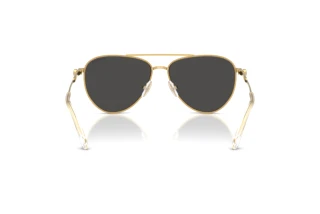 Vista posteriore Swarovski SK7031 (400487)