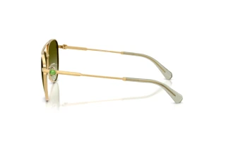 Vista laterale Swarovski SK7031 (4017E8)