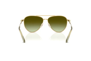 Vista posteriore Swarovski SK7031 (4017E8)