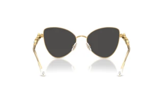 Vista posteriore Swarovski SK7034 (404M87)