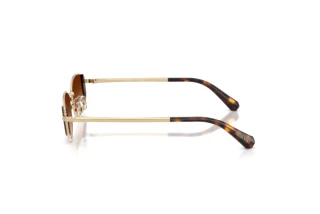 Vista laterale Swarovski SK7035D (401374)