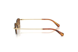 Vista laterale Swarovski SK7045D (400473)