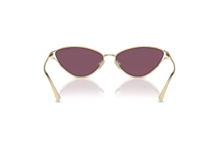 Vista posteriore Tiffany TF3095 (6194AK)