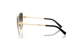 Vista laterale Tiffany TF3102B (60213C)