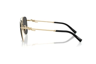 Vista laterale Tiffany TF3116 (6021S4)