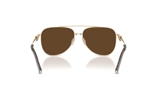 Vista posteriore Tiffany TF3116 (61933G)