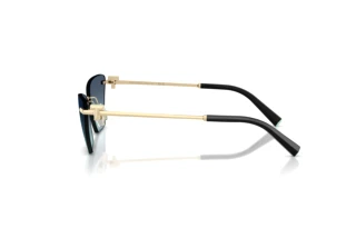 Vista laterale Tiffany TF3120 (60219S)