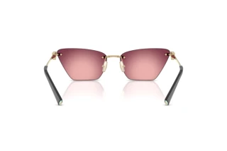 Vista posteriore Tiffany TF3120 (62428H)